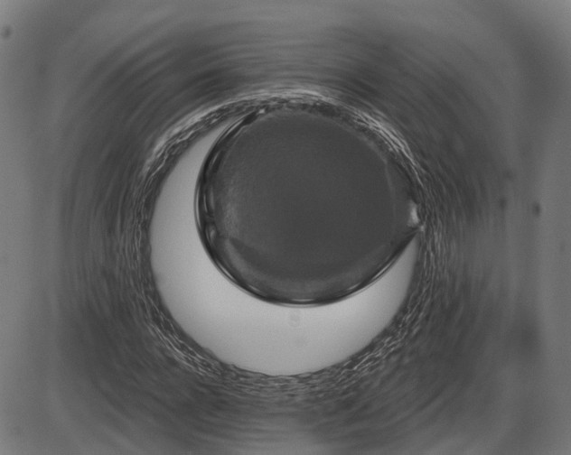 X0000087530920200704271203