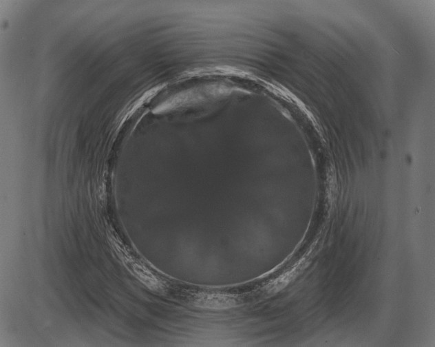 X0000087530921200704271203