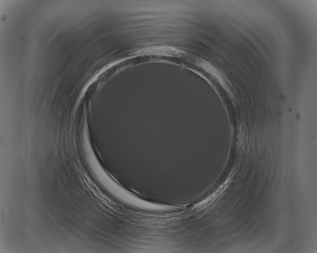 X0000087530923200704271203