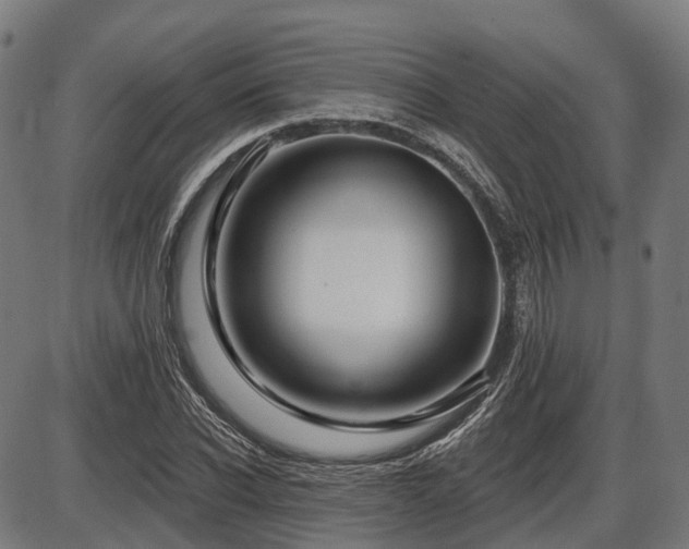 X0000087530926200704271203