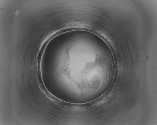 X0000087530933200704271203