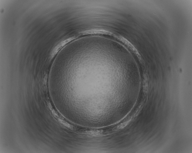 X0000087530937200704271203