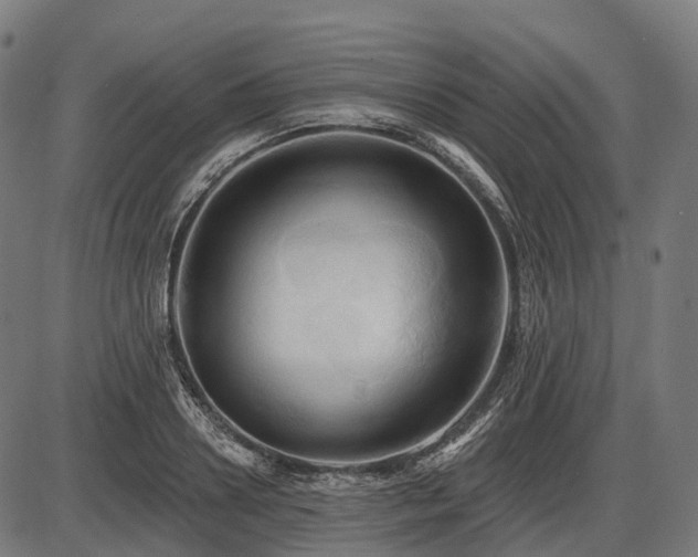 X0000087530938200704271203