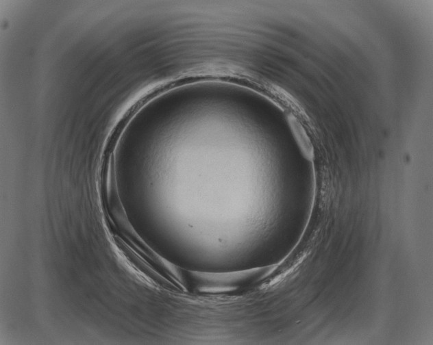 X0000087530942200704271203