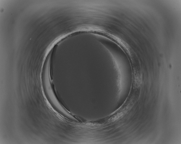 X0000087530943200704271203