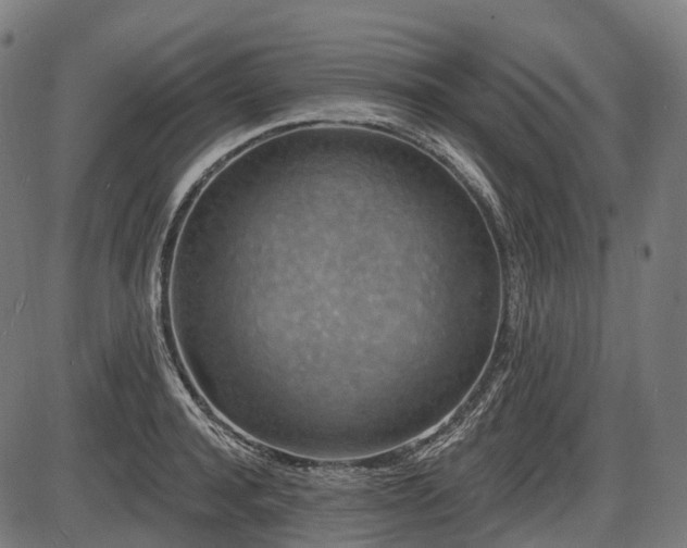 X0000087530944200704271203