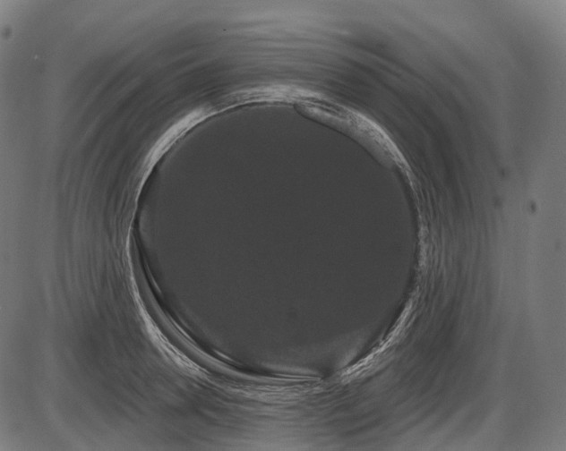 X0000087530946200704271203