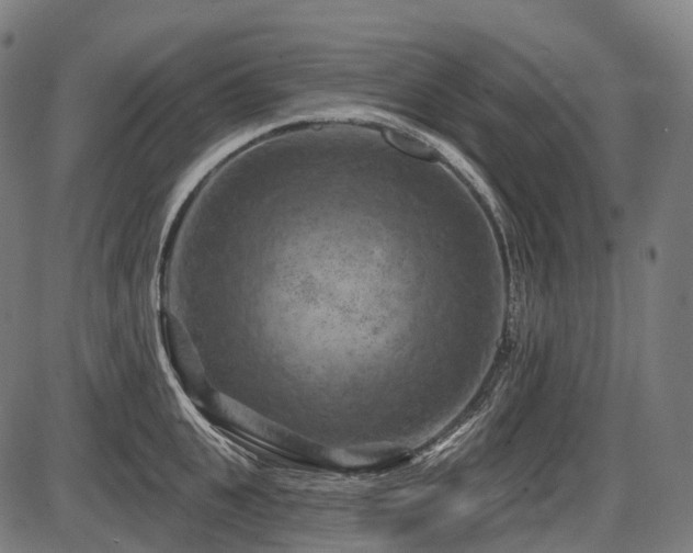 X0000087530951200704271203