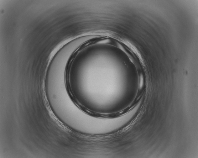 X0000087530952200704271203