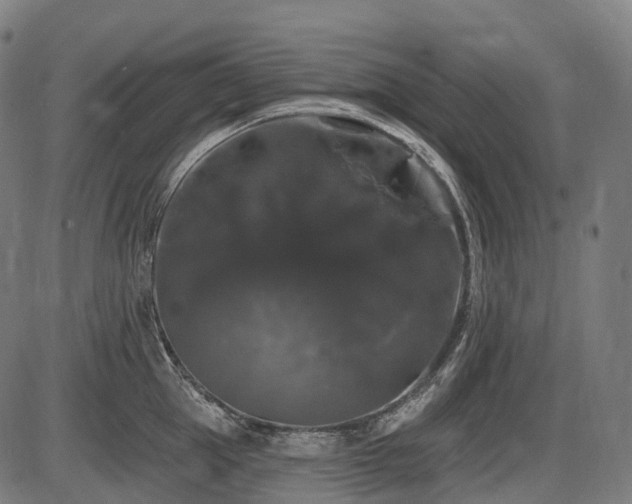 X0000087530953200704271203