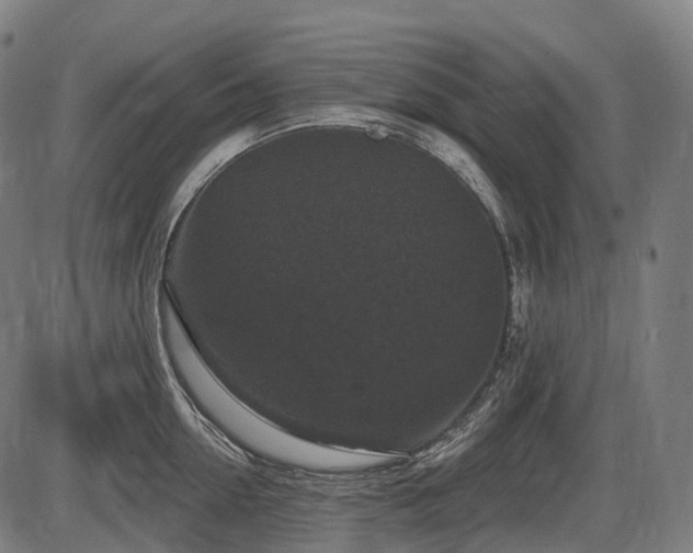 X0000087530954200704271203