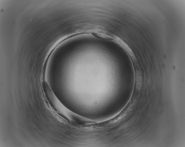 X0000087530956200704271204