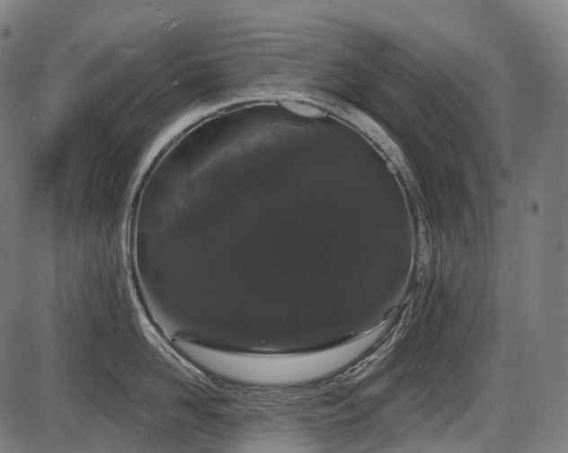 X0000087530958200704271204