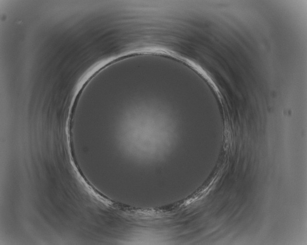 X0000087530959200704271204