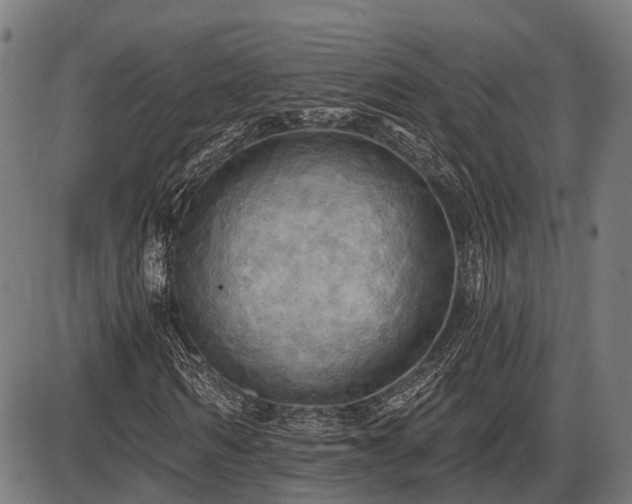 X0000087530962200704271203