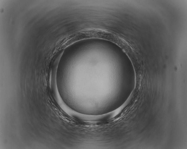 X0000087530965200704271203