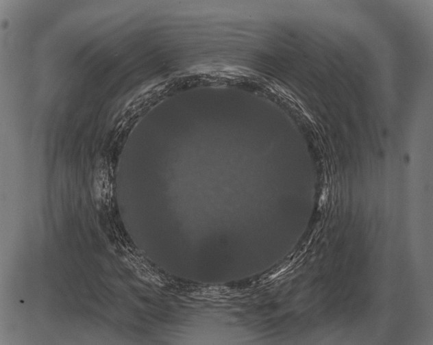 X0000087530966200704271203