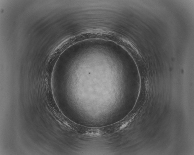 X0000087530968200704271203