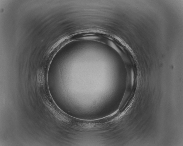 X0000087530969200704271203