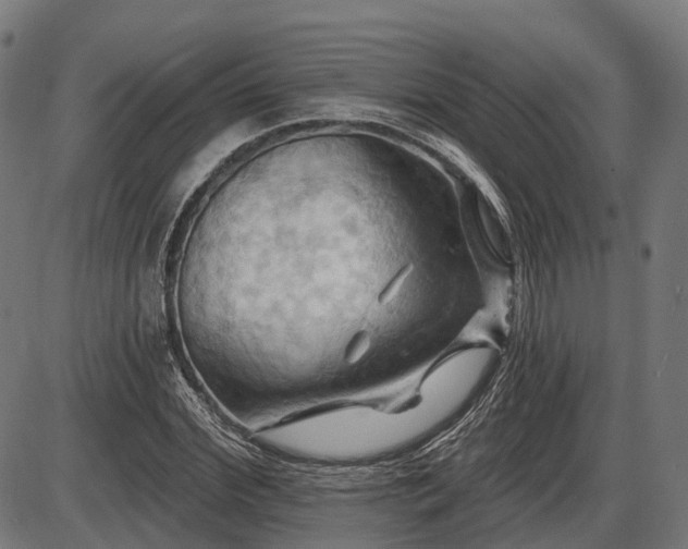 X0000087530972200704271203