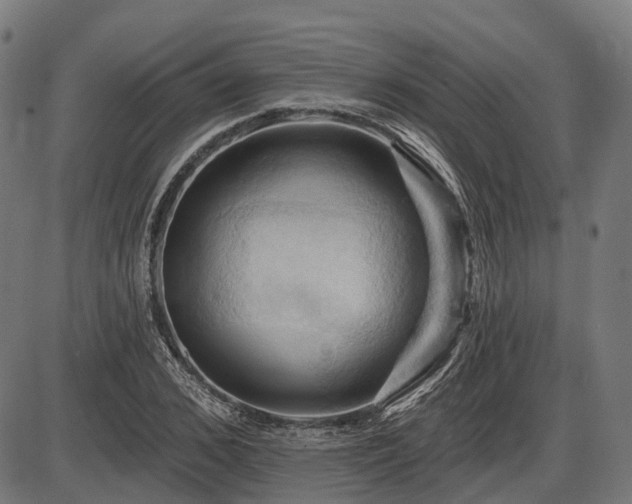 X0000087530976200704271203