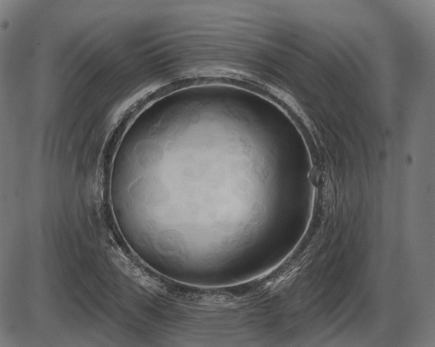 X0000087530979200704271203