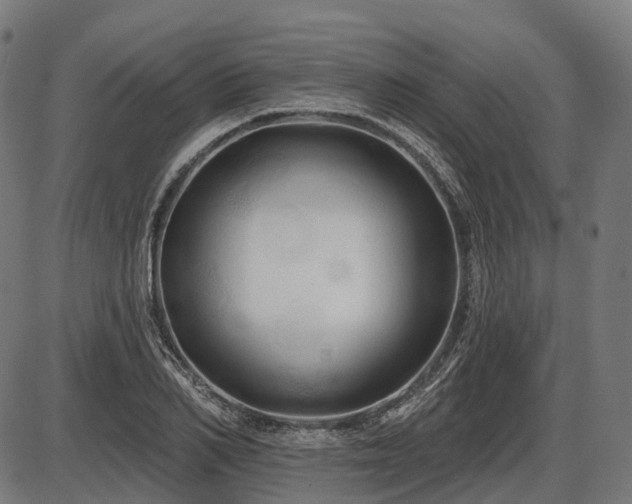 X0000087530982200704271202