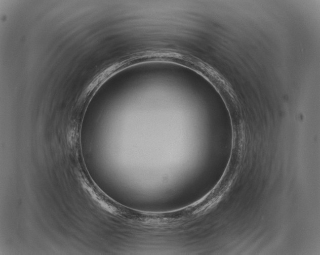 X0000087530985200704271202