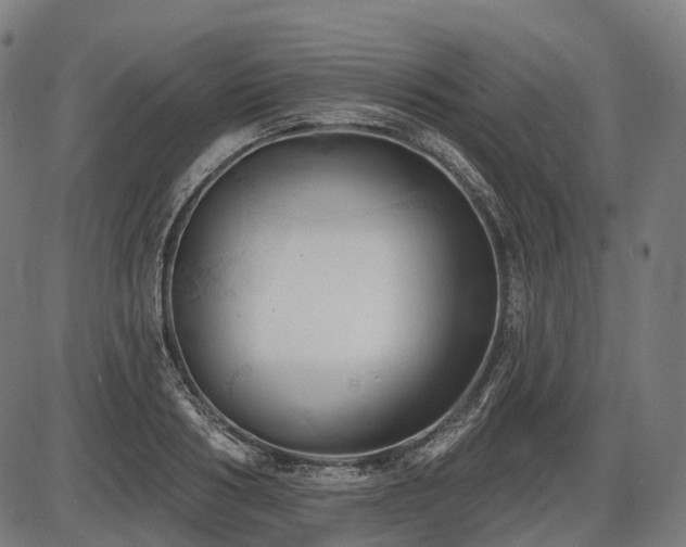 X0000087530986200704271202
