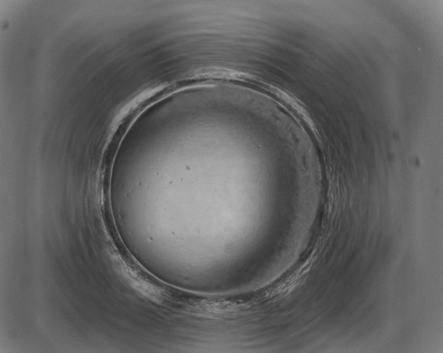X0000087530987200704271202
