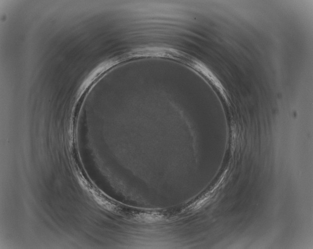 X0000087530994200704271202