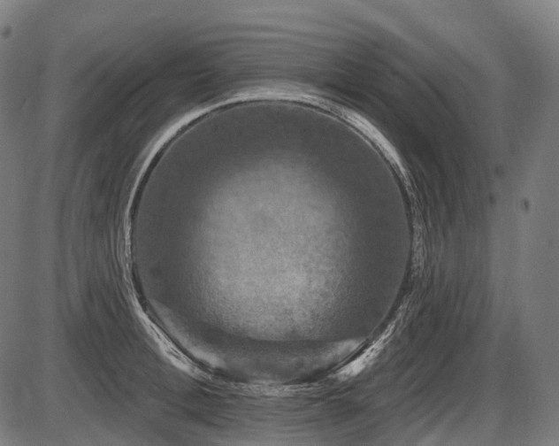 X0000087530996200704271202
