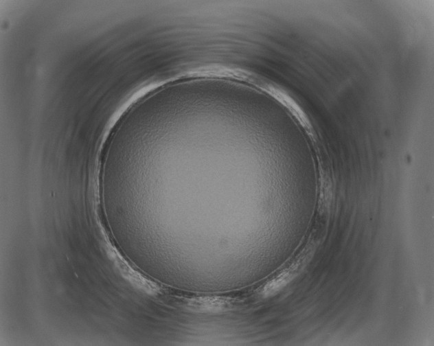 X0000087531000200704271202