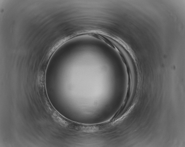 X0000087531001200704271202