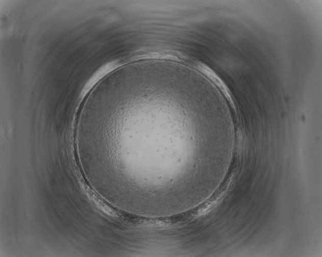 X0000087531002200704271202