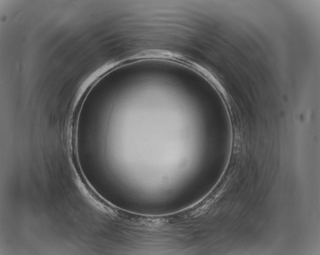 X0000087531003200704271202