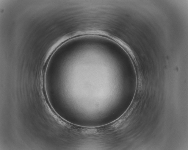 X0000087531006200704271202