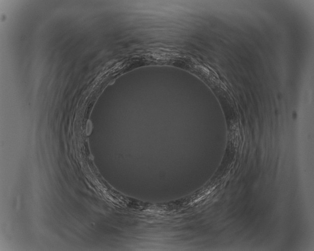 X0000087531009200704271201