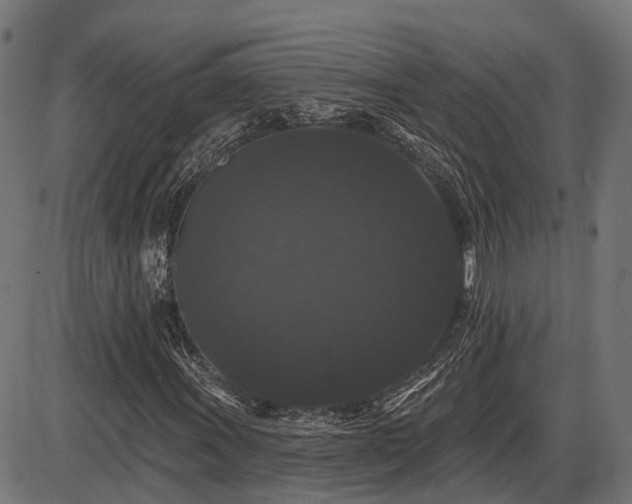 X0000087531011200704271201