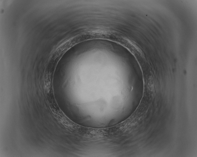 X0000087531015200704271201