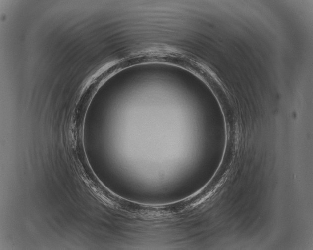 X0000087531018200704271201