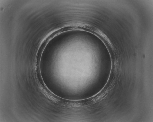 X0000087531020200704271201