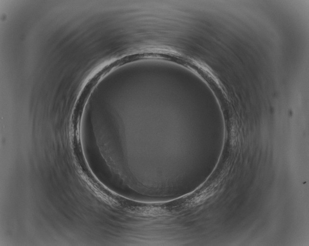 X0000087531024200704271201