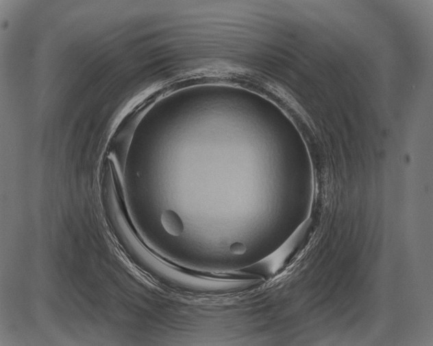 X0000087531026200704271202