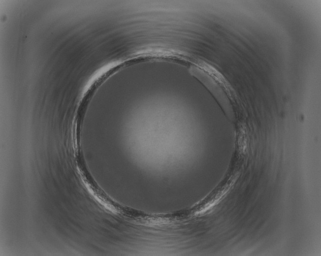 X0000087531030200704271202