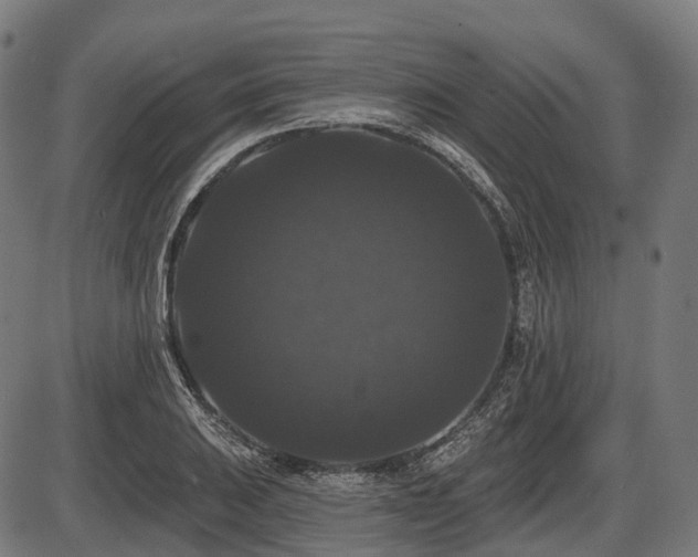 X0000087531031200704271202