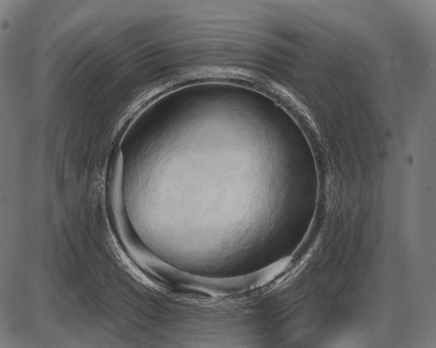 X0000087531033200704271202
