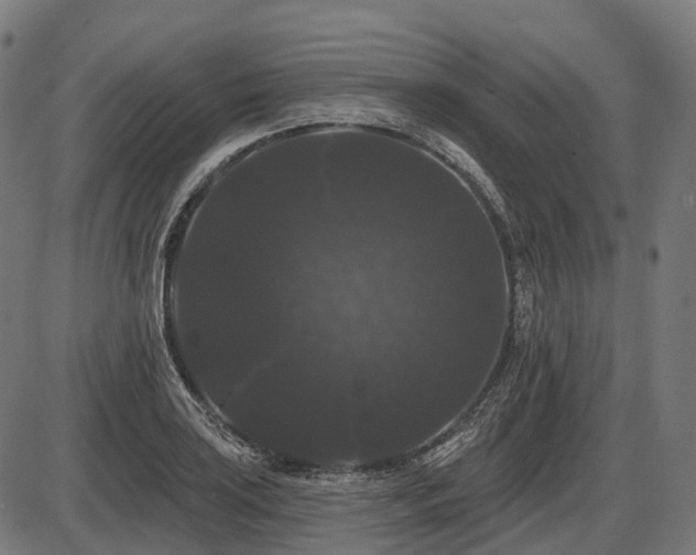 X0000087531035200704271202