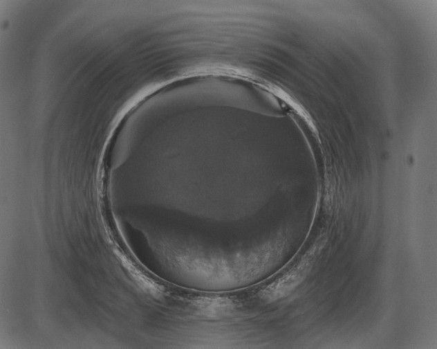 X0000087531037200704271202