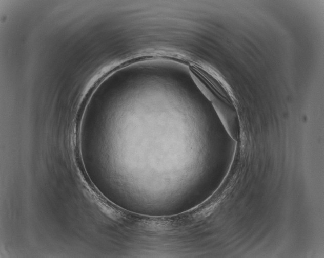 X0000087531040200704271202